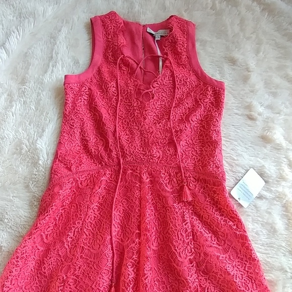 Lace Dress - Picture 4 of 8